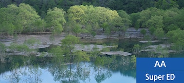 תמונה לדוגמה המציגה נוף של שפת אגם עם עצים שצומחים מתוך האגם ועלי שלכת משתקפים במים