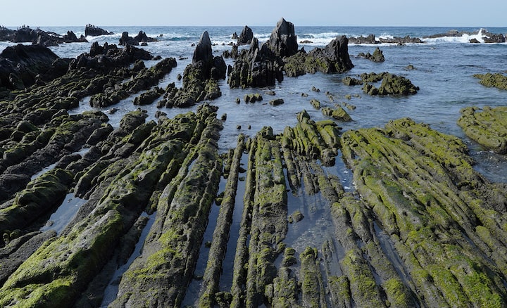 תמונה של תצורת סלעים בחוף