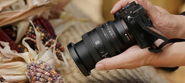 תמונת שימוש של משתמש המצלם תירס צבעוני במרחק המוקד המינימלי של FE 24-50mm F2.8 G