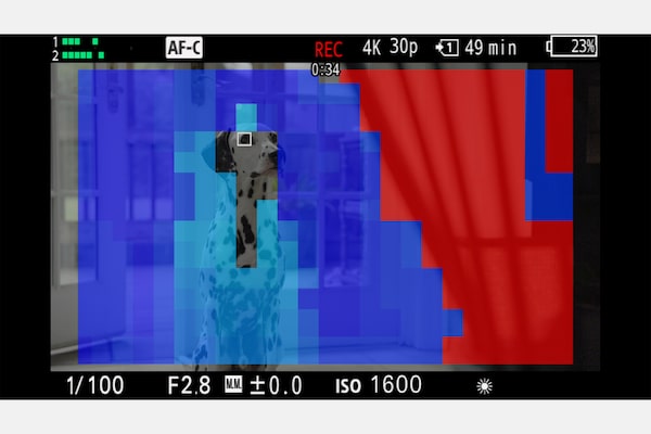 צג של מצלמה עם צבעים של מפת המיקוד שמציינים את עומק השדה