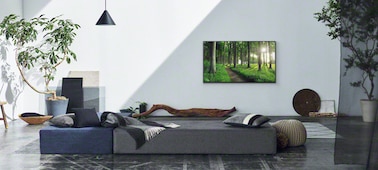 ����� �� ���� ����� ��� ������ �� Living Decor