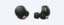 מבט מלפנים ומהצד על אוזניות WF-1000XM4 בצבע שחור