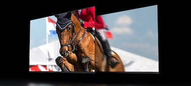 מסכים כפולים המציגים סוס ורוכב באירוע קפיצות ראווה עם תנועה חלקה יותר במסך השמאלי בגלל פאנל 120Hz