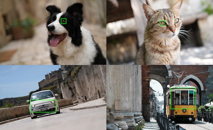 תמונות לדוגמה המציגות נושאים שהבינה המלאכותית של המצלמה יכולה לזהות: כלב, חתול, מכונית, רכבת