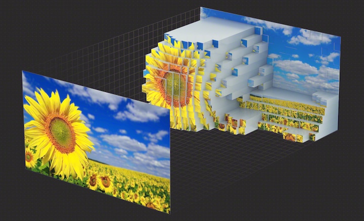 שתי תמונות מסך בזווית, המסך משמאל מציג חמניות בשדה עם שמיים מעוננים חלקית, המסך מימין מראה כיצד בינה קוגניטיבית מנתחת ומייצרת מפת עומק של הסצנה המדוברת כדי לשפר את העומק והמרקם