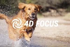 מדריך להגדרות מצלמה 4D FOCUS