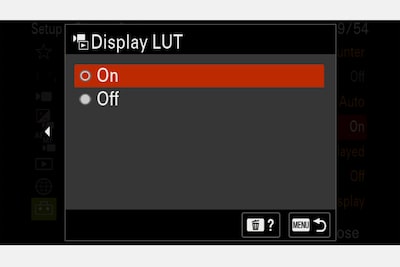 תמונה של מסך הבחירה שמציגה "LUT של תצוגה"