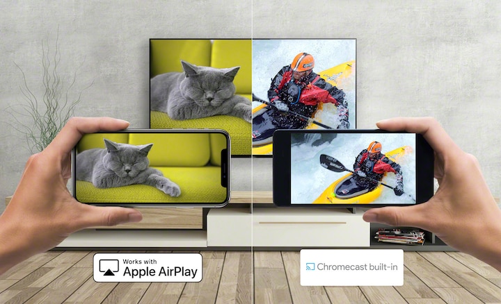 תמונות של חתול ואדם שמשיט קנו משודרות מהטלפון החכם לטלוויזיה