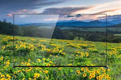 תמונה של תצוגת פנורמה של שדה, עם פרחים צהובים בחזית ושמים כחולים והרים ברקע, שעליה פריים המציג את טלוויזיית BRAVIA מונח בשכבת על עם בהירות מצוינת.