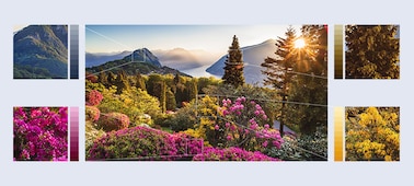 תמונות מפורטות במיוחד של פרחי הרים עם XR HDR Remaster