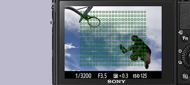תמונה של RX100 V, המצלמה הקומפקטית המתקדמת עם החיישן מסוג 1.0 וביצועי מיקוד אוטומטי מעולים