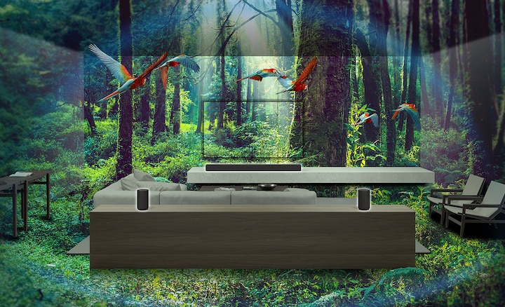 תמונה מורכבת של סלון עם ספה ומערכת צליל היקפי עם הגדרת ג'ונגל עבות.