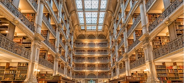 צילום פנימי של ספריה שמציג את הארכיטקטורה ברמת פירוט של 4K