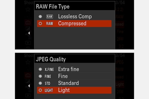 מסך צג LCD של המצלמה: מסך בחירה בתמונת RAW