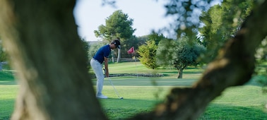 תמונה לדוגמה המציגה מיקוד על שחקן גולף עם מראה מטושטש של גזע עץ ברקע