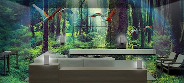 ספה ורמקולים כחלק מסצנה ביער שמציגה עצים ותוכים עפים מעל